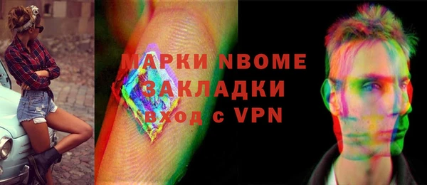 сатива Волоколамск