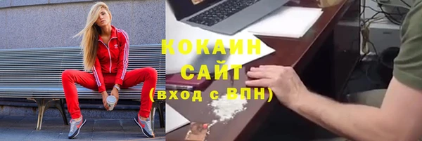 сатива Волоколамск