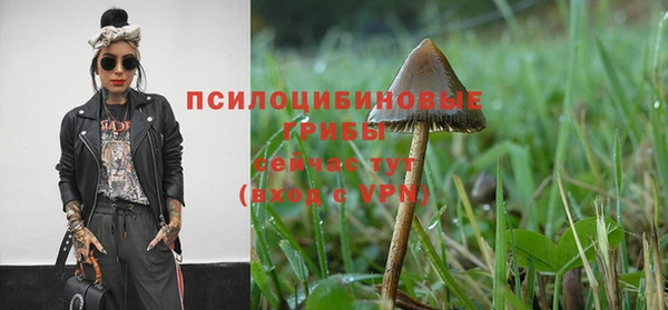 героин Верея