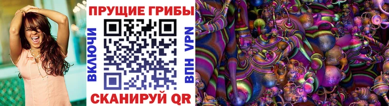 Псилоцибиновые грибы Psilocybine cubensis  Каменногорск 